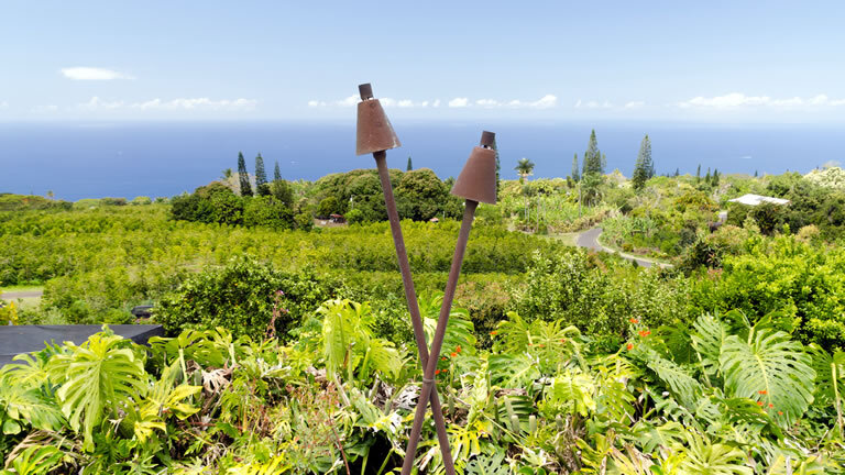 Hawaii To Vancouver Cruise