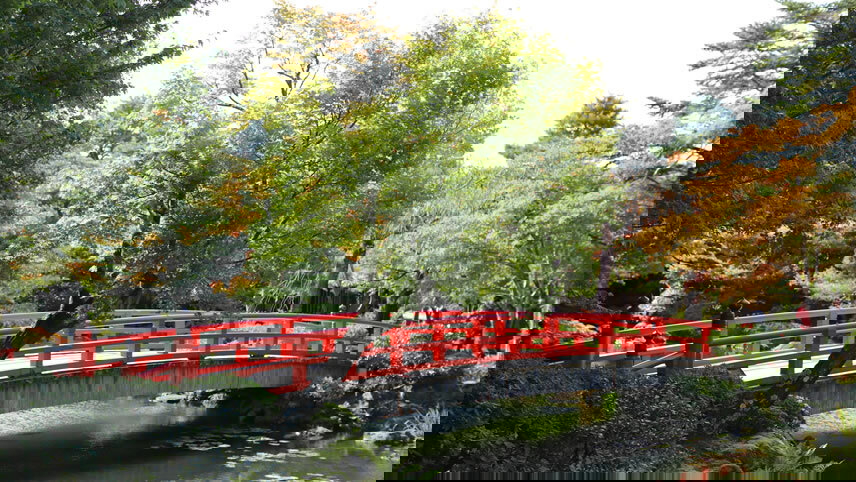 Cherry Blossoms, Culture & Sights of Japan