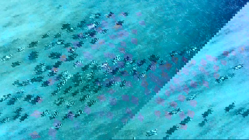 Sri Lanka, Maldives & Seychelles