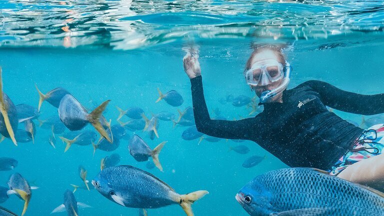 Tropical Islands and Rainforest