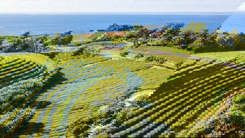 The Azores & Madeira: Portugal's Island Gems