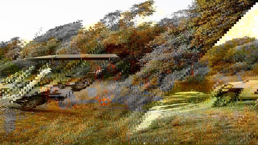 Botswana Safari in Style