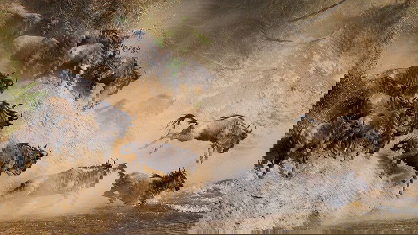 Kenya & Tanzania: A Great Migration Safari Adventure