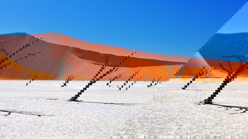 Namibia: Dunes & Desert Safari