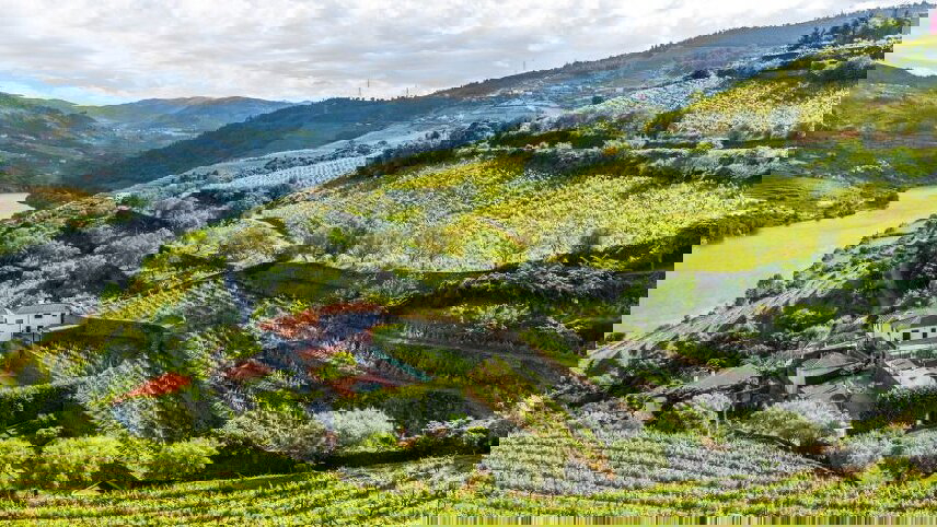 Portrait of Portugal