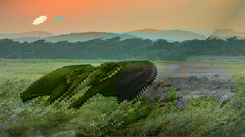 Sri Lanka: Splendours of the Spice Island