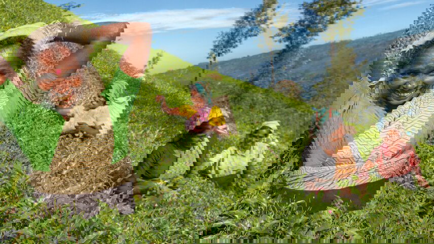 Sri Lanka: Splendours of the Spice Island