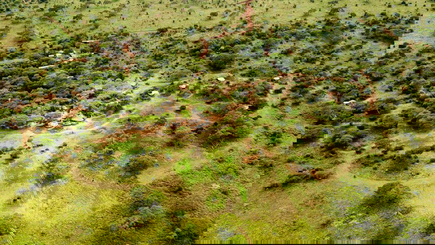 Tanzania Safari in Style