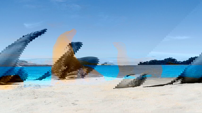 Wonders of the Galápagos & Machu Picchu