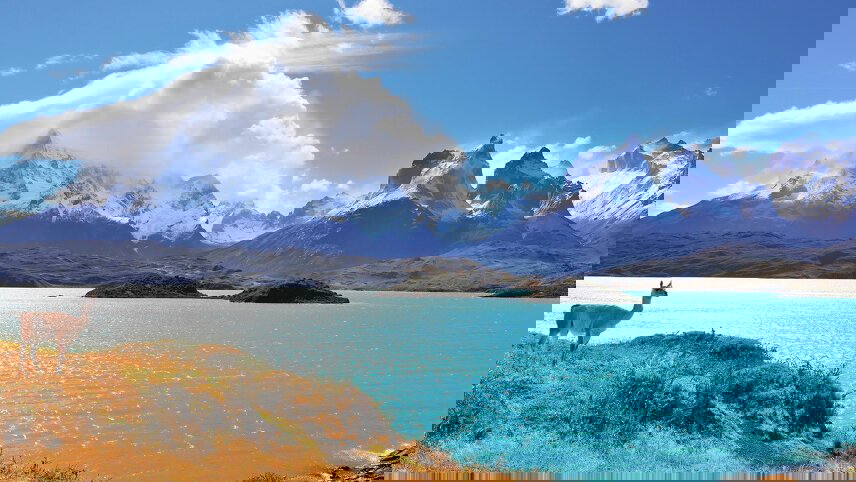 Wings Over Argentina, Chile & Brazil