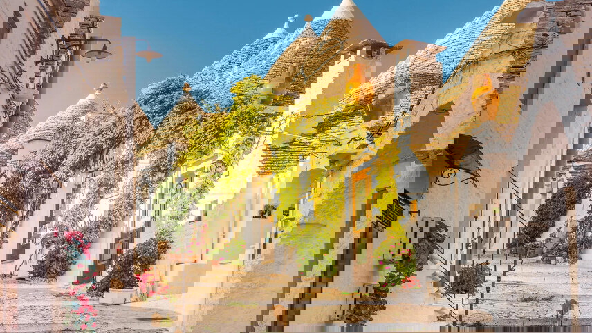 Mediterranean Gardens and Wildflowers of Greece and Italy by Small Ship