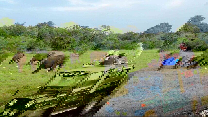 Sri Lankan Discovery