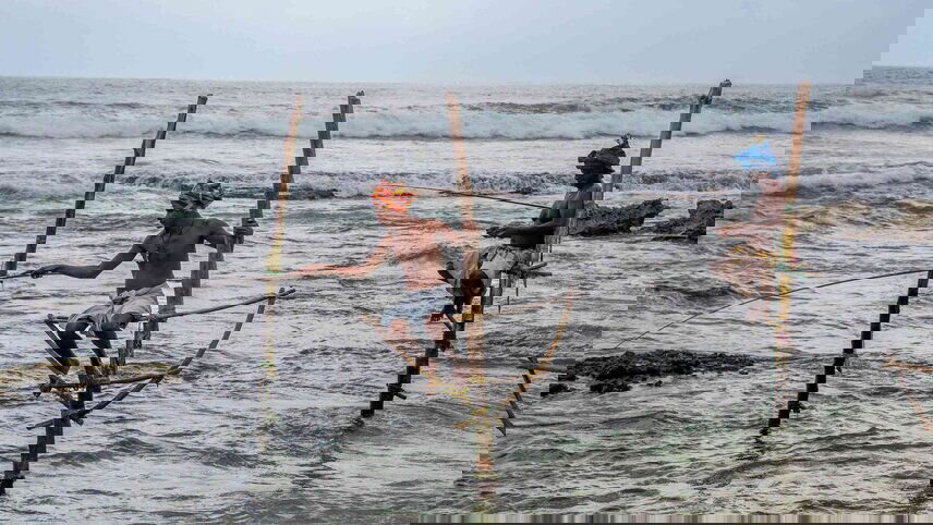 Sri Lankan Discovery