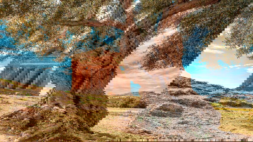 Highlights of Sicily