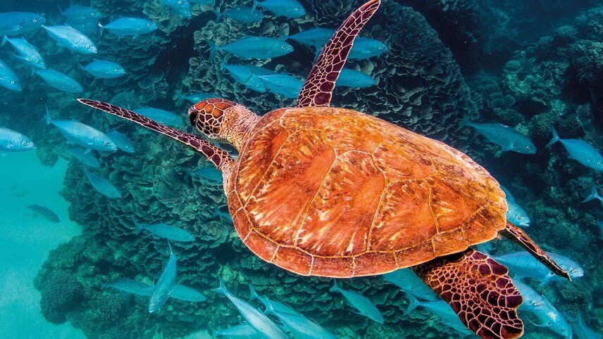 Untamed Kimberley & West Coast