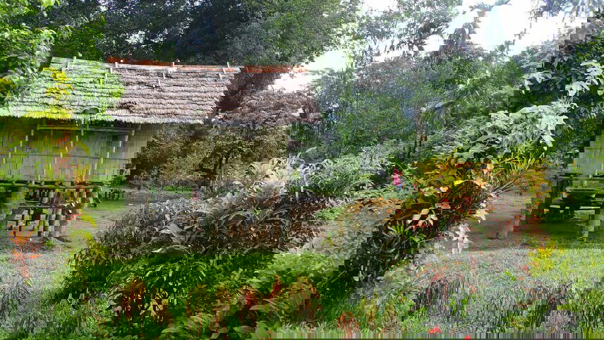 Mount Hagen Festival & West New Britain