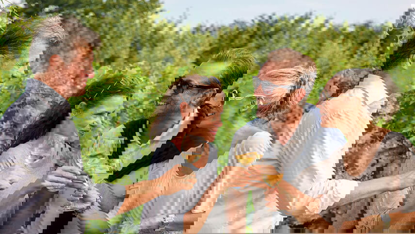 Wines of Lyon and Provence