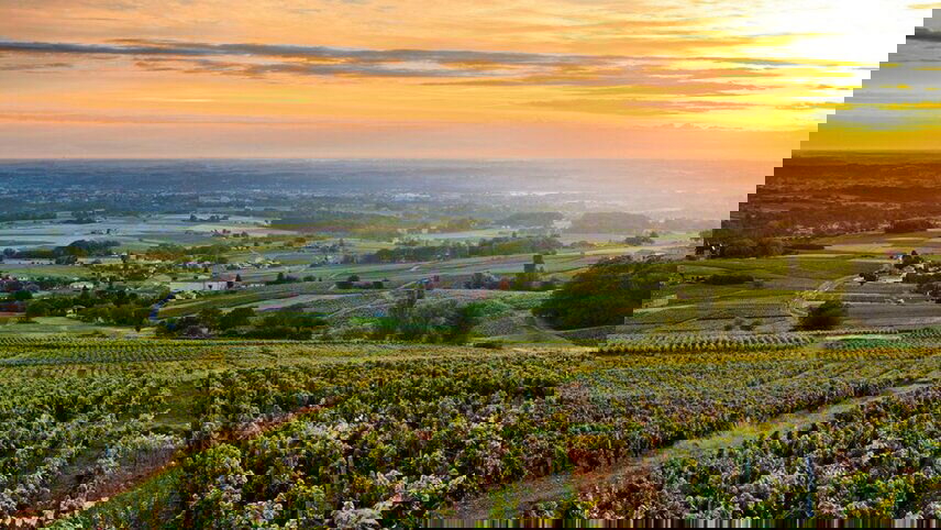 Sensations of Lyon & Provence with Sommelier Alejandro Ferris