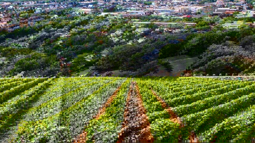 Legendary Rhine & Moselle with Photographer Juano Abreu