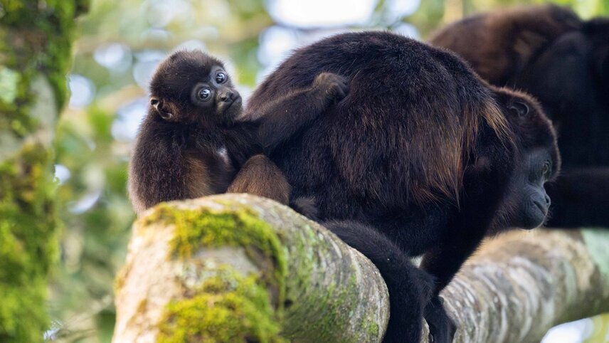 Costa Rica Adventure