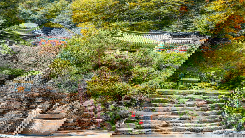 Discover South Korea