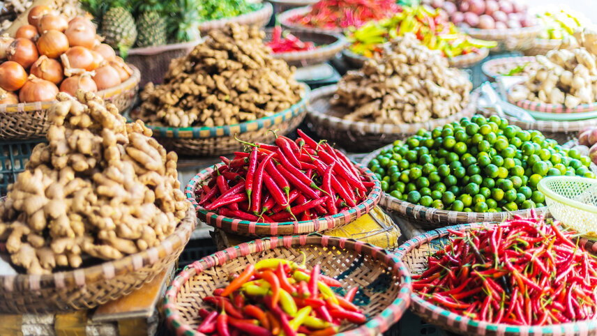 Best of Vietnam - Premium Family Adventure