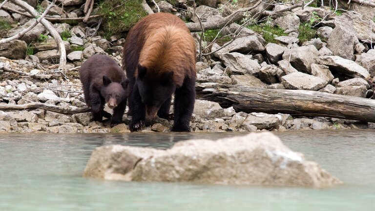 Canadian Rockies - Calgary to Vancouver