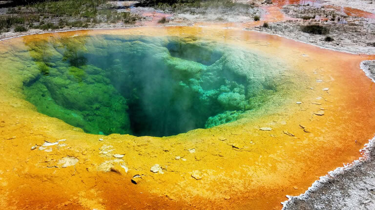 Yellowstone Wildlife Trails (Hotels)