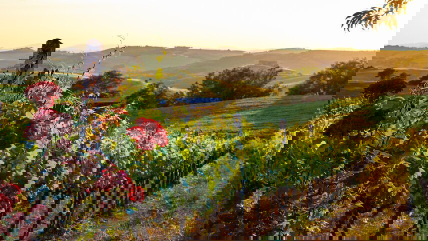 Tuscan Hills & Chianti Wines - Premium Adventure