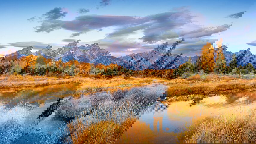 Yellowstone Walks & Wolves