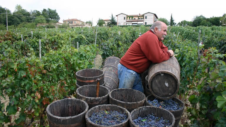 A Taste of Tuscany Self-Guided Walking