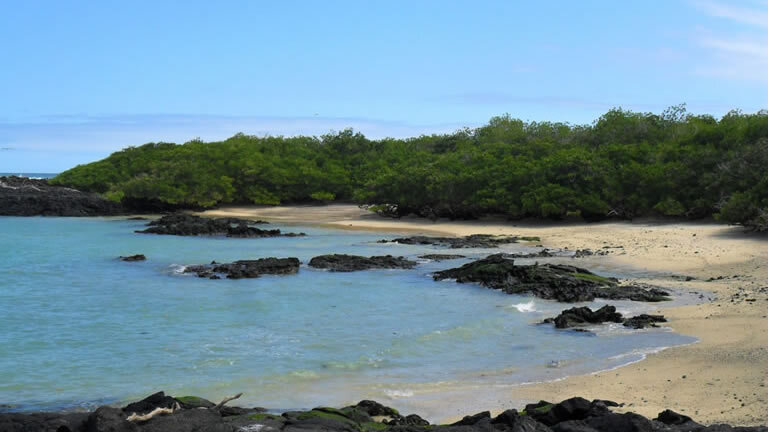 Galapagos Encounter (Itinerary A)