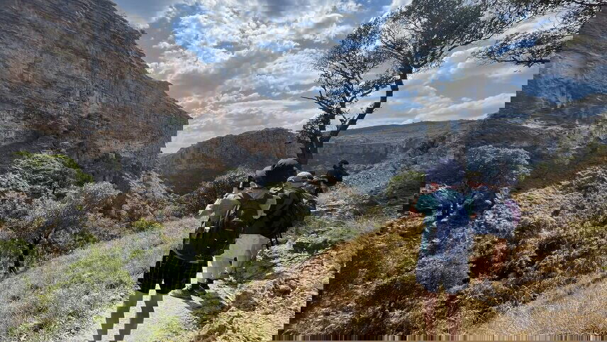 Highlights of Madagascar