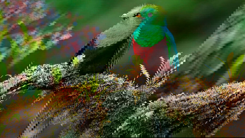 Costa Rica - Coast to Coast