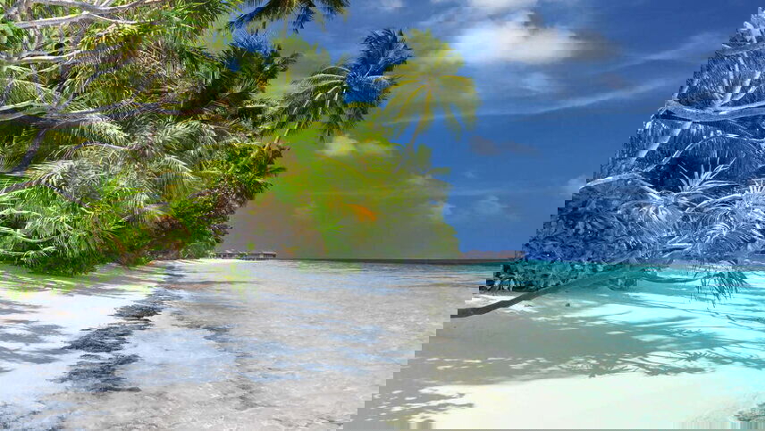 Sri Lanka in Depth with Maldive Dhoni Cruise (Adams Peak)