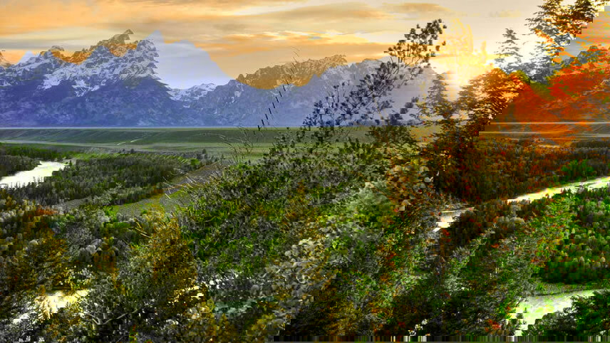 Discover Yellowstone & the Grand Tetons