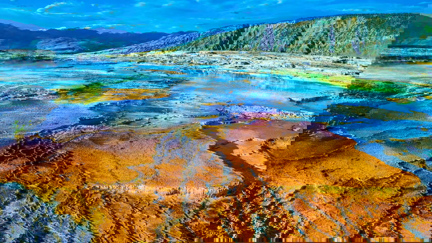 Discover Yellowstone & the Grand Tetons