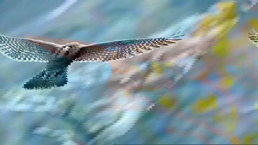 The Best Of New Zealand