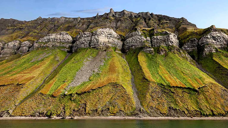 Spitsbergen And Polar Bears – An Arctic Adventure