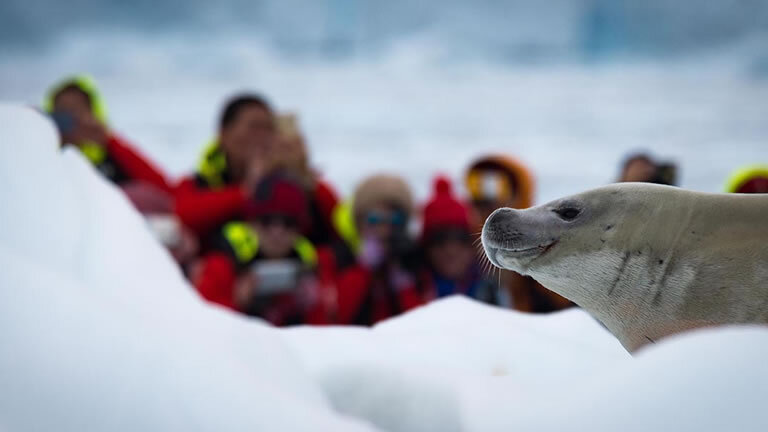 Antarctic Circle Expedition (Flights Included)