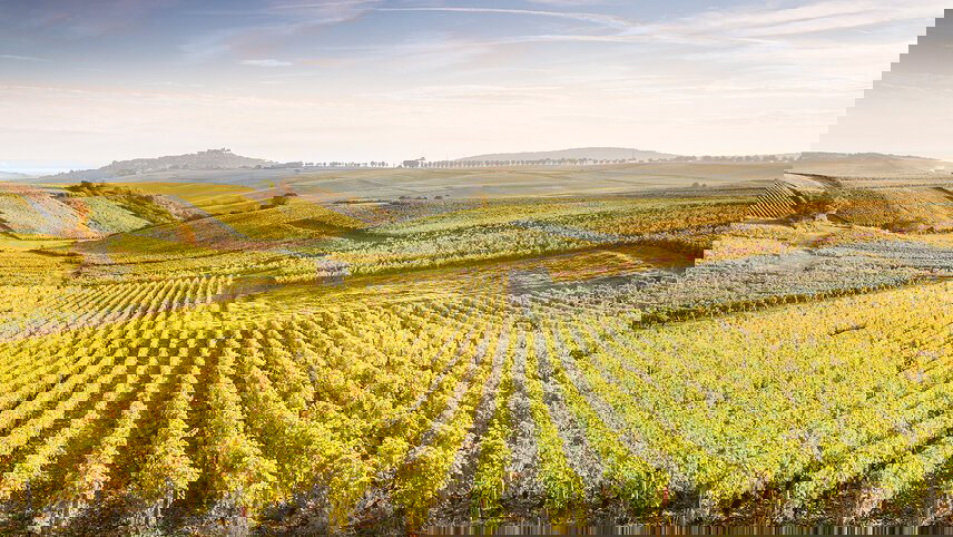 Premium Paris, Loire Valley & Normandy