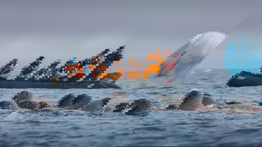 Spitsbergen Highlights: Journey into the Arctic Wilderness