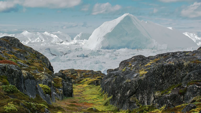 East Greenland and Iceland Northern Lights