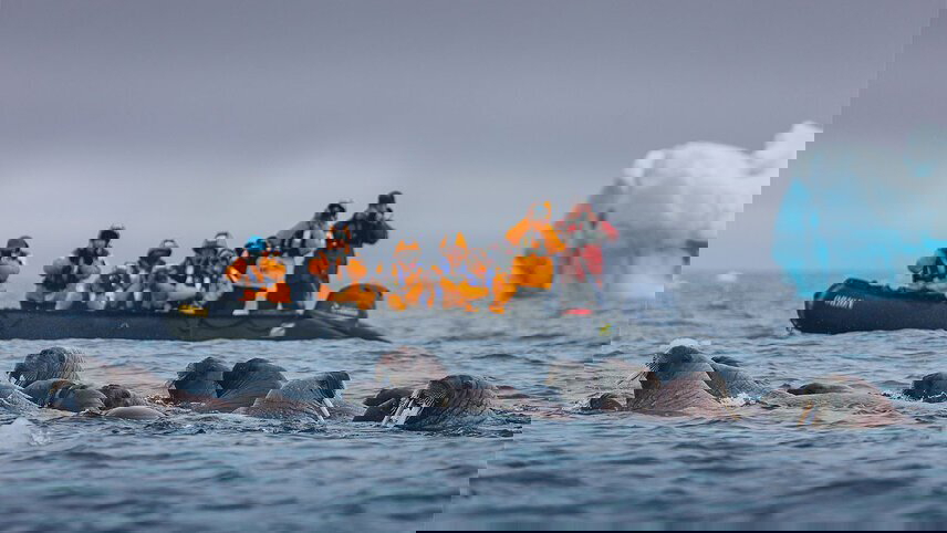 Ultimate Arctic Voyage: From Svalbard to Jan Mayen to Iceland