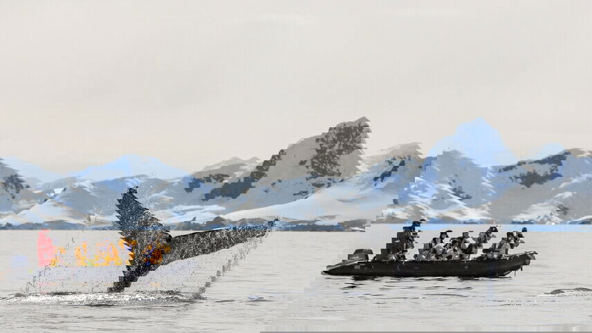 Falklands, South Georgia and Antarctica: Explorers and Kings