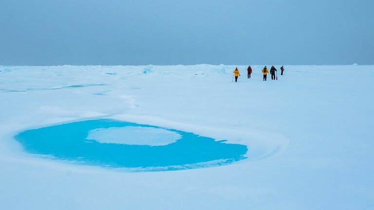 High Arctic Explorer - Greenland to Canada (Ocean Endeavour)