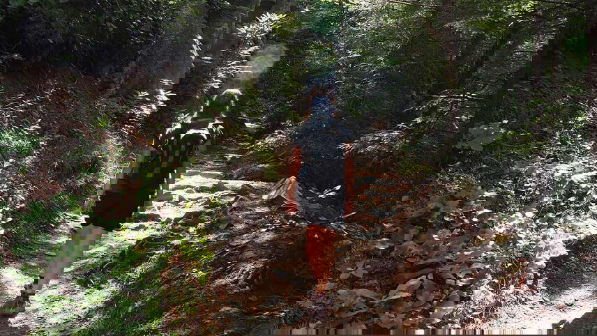 Hiking the Best of Great Smoky Mountains National Park