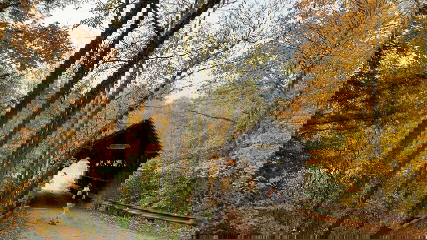 Hike Vermont: Fall Foliage