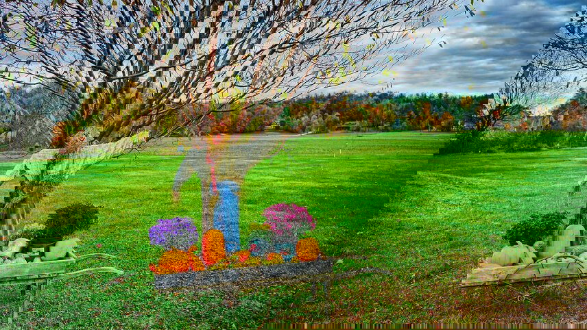 Hike Vermont: Fall Foliage