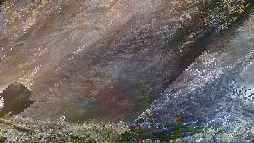 Hiking the Best of Yellowstone and Grand Tetons